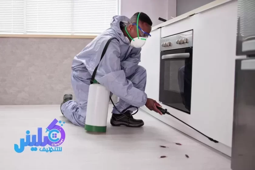 شركة مكافحة حشرات بمكة - شركة كلينر للتنظيف