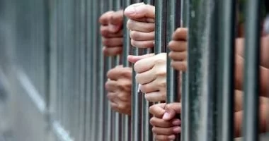المؤبد لعامل بمخبز قتل شخصا بعدة طعنات بمطواة فى بنها