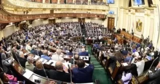 استقلال السلطة التشريعية: حقوق أعضاء مجلس النواب