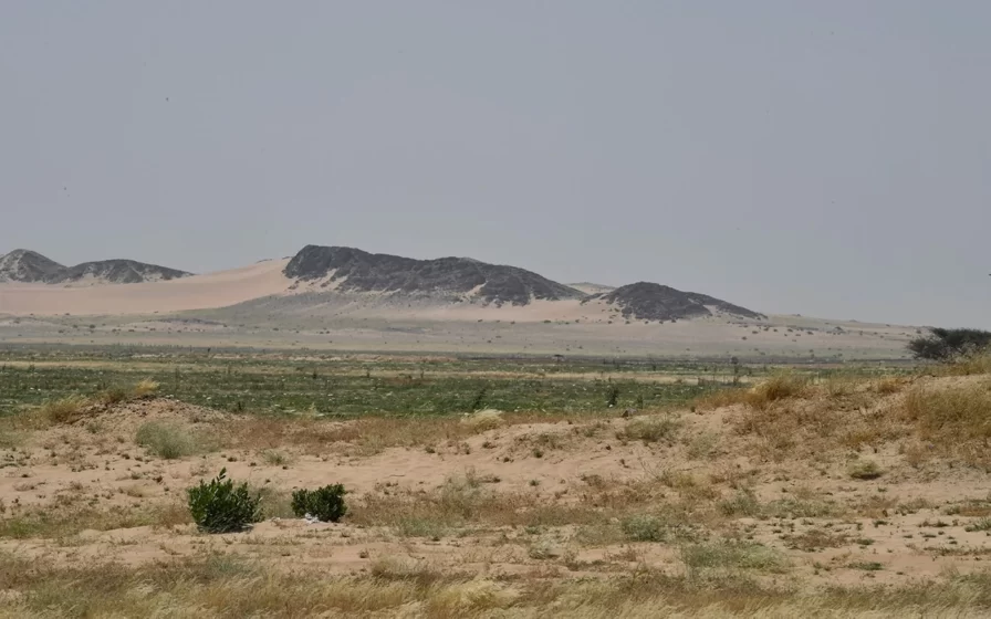حرة طفيل وشامة