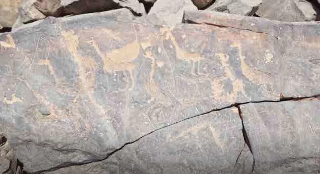 حرة مهايع