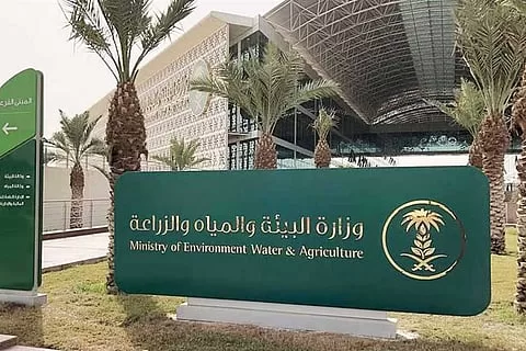 دليل الشركات للتعامل مع لجنة منتجي البذور في الدورة الجديدة