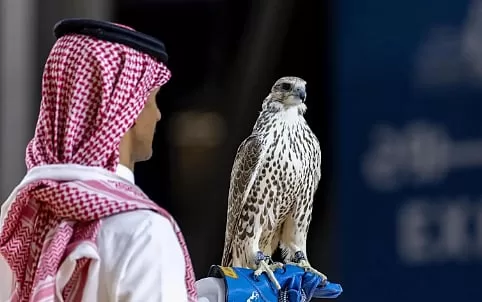 مزاد الصقور في المعرض الدولي 2025: استدامة البيئة وحماية النوع